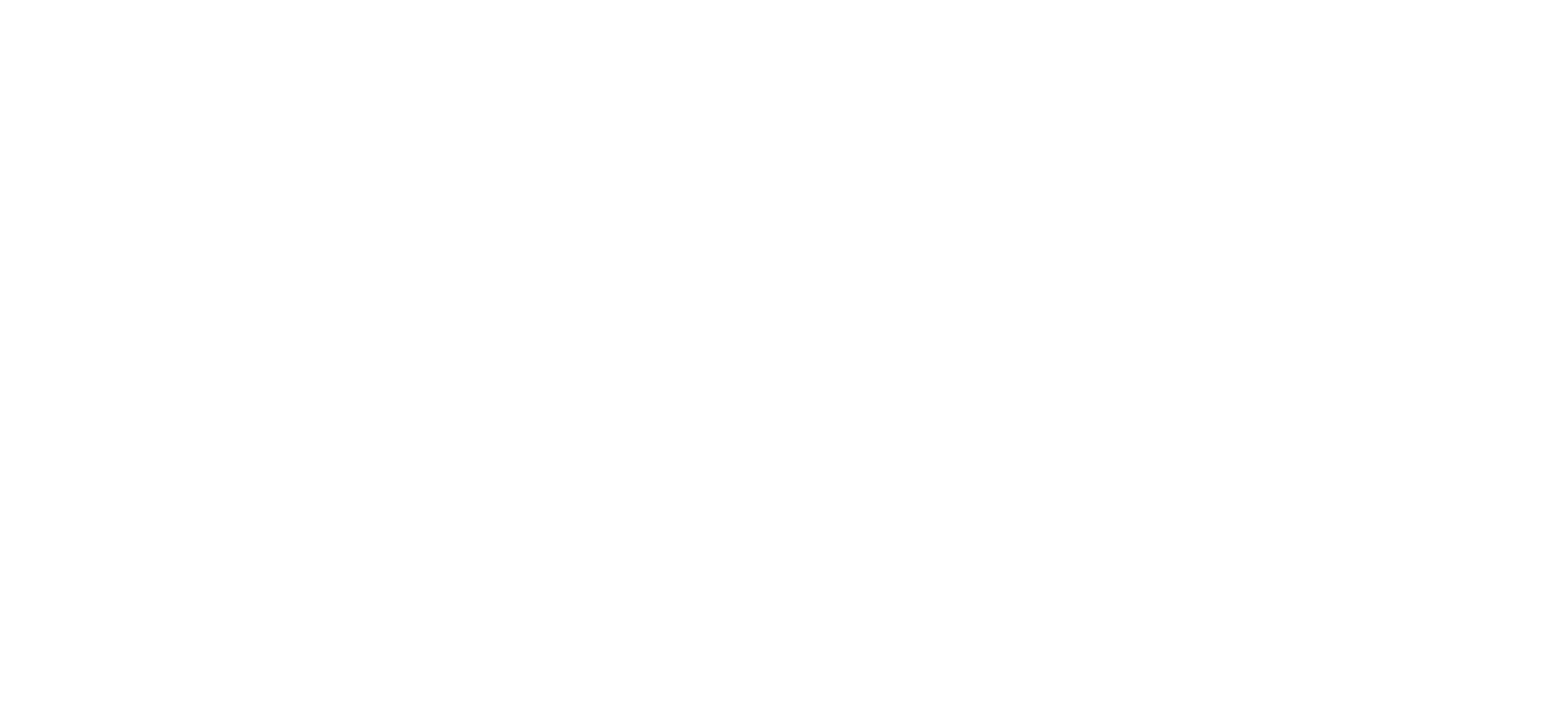 Triumph Street Triple logo