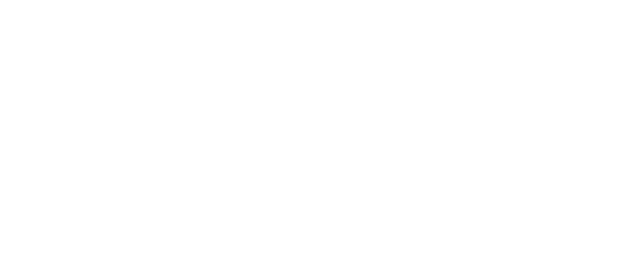 Triumph Street Triple logo