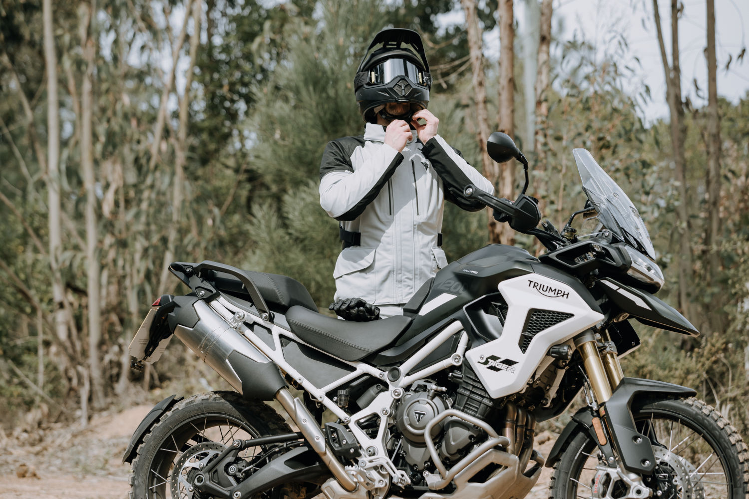 Triumph touring sales