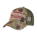 [object Object]