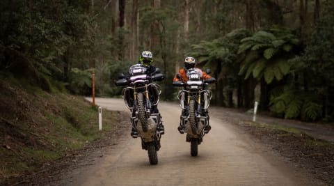 Triumph Tiger 1200 Rally pro