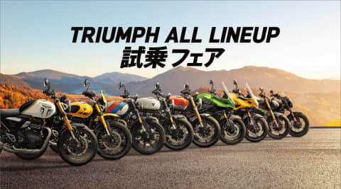 all-line-up-fair-2025-10-04-main-image