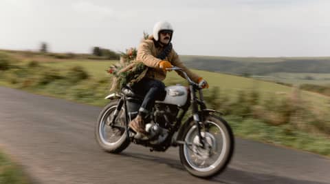 Triumph holiday season