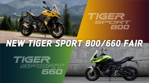 tiger-sport-800-600-fair-2025-main