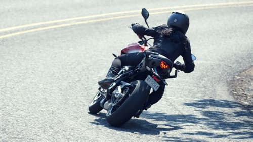 Tiger Sport 660