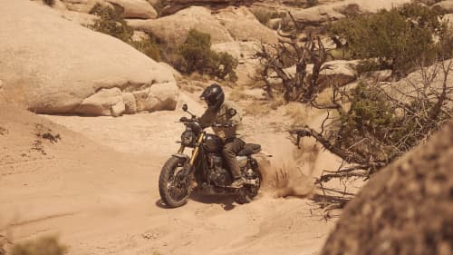 Triumph Scrambler 900