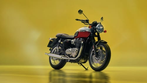 Triumph Bonneville T120 MY25 with a yellow background
