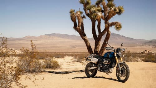 Triumph Scrambler 1200 XE Stationary in desert setting gleaming in the sunshine