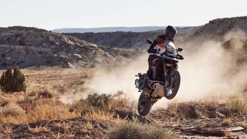 TIGER 900 Rally Pro SPORT