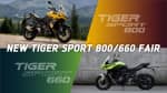 tiger-sport-800-600-fair-2025-main