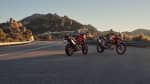 Triumph Tiger 900 family