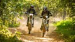 Triumph Cross Country motorcycles riding through a forest