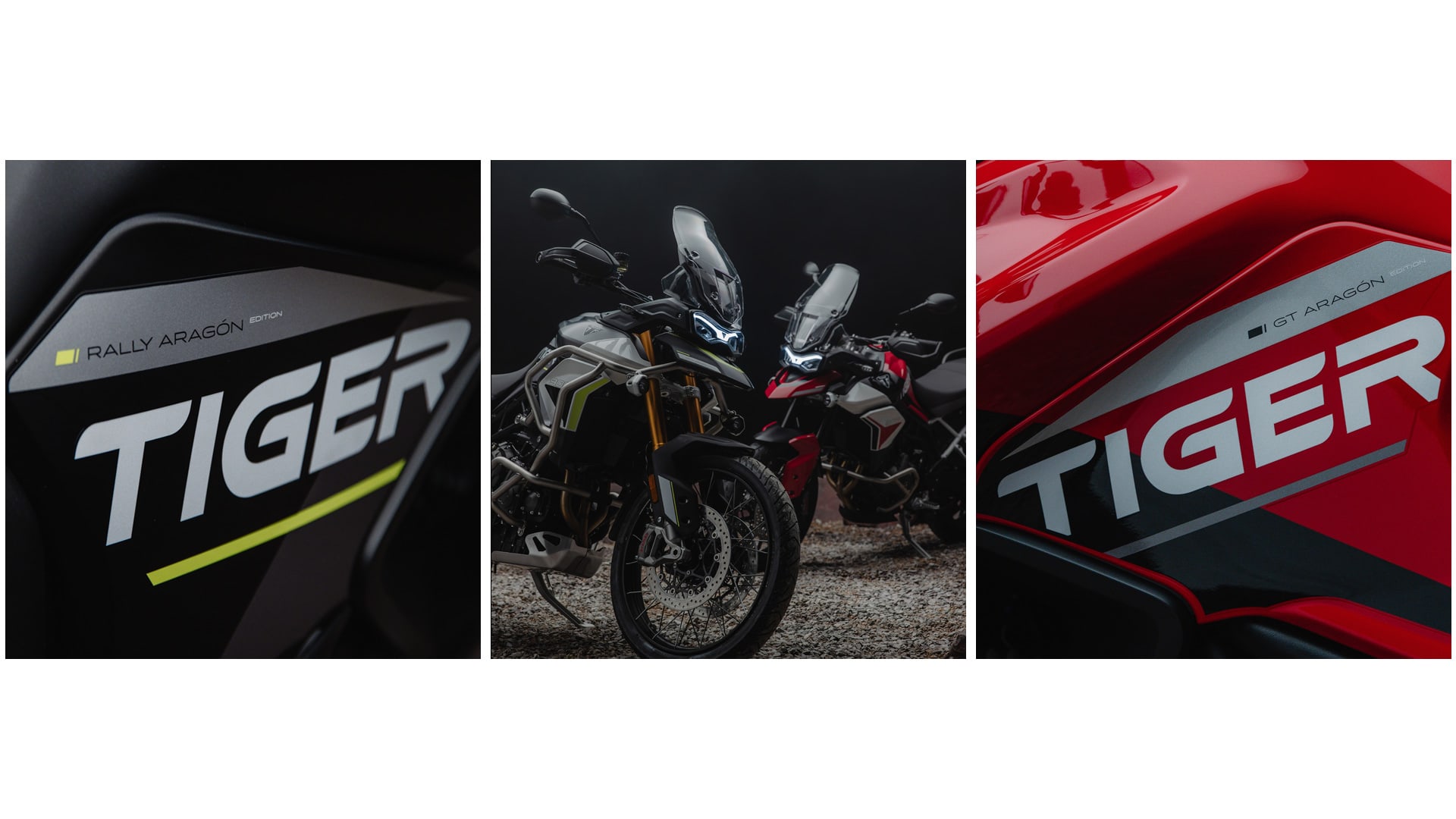 Triumph Tiger 900 Aragon Rally and GT Edition)
