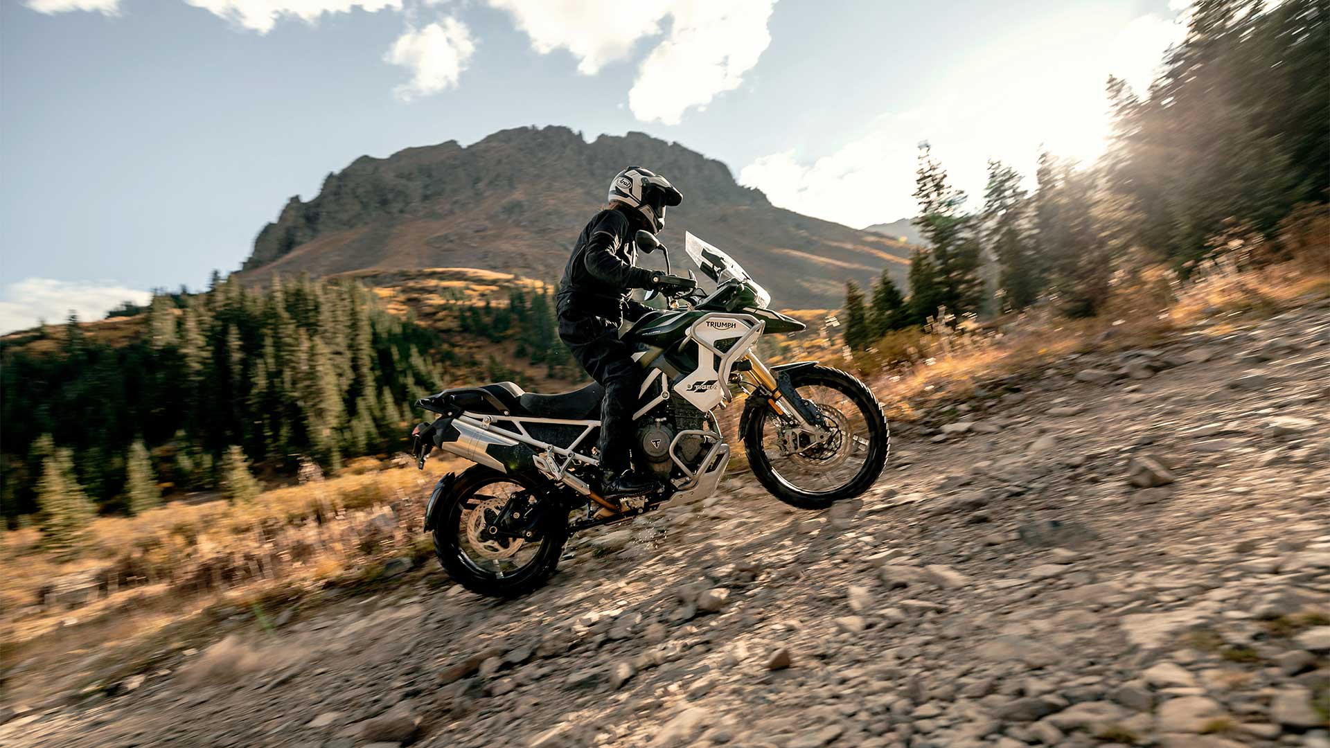 2022 Triumph Tiger 1200 rally pro)