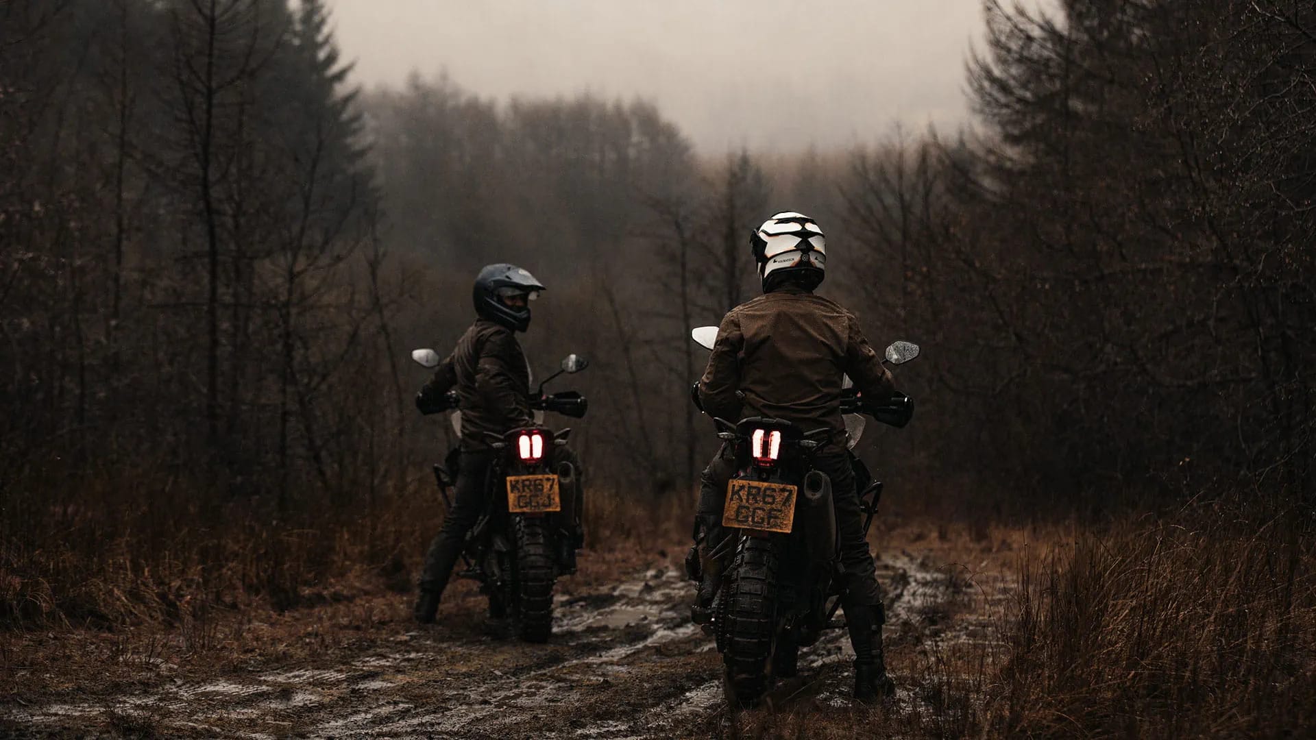 Triumph Tiger 800 motorcycles at the Triumph Adventure Experience in Wales