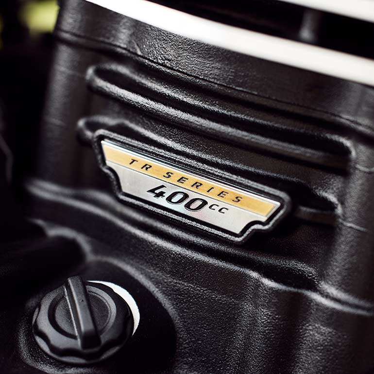 Triumph Speed 400 engine badge detail