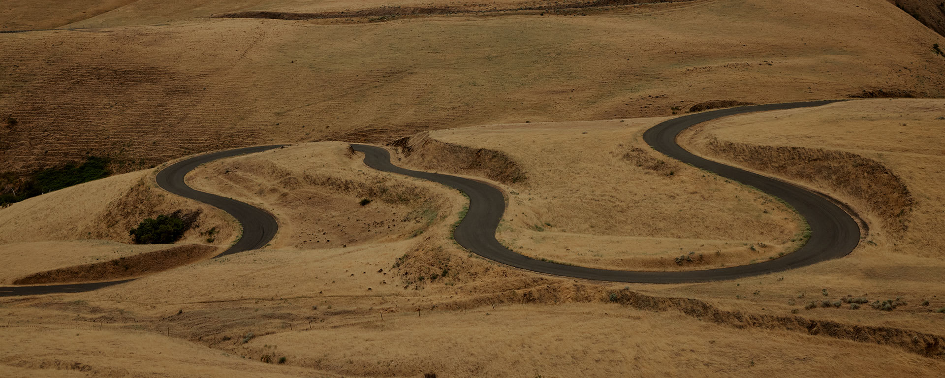 Landscape shot of a winding road in a field)