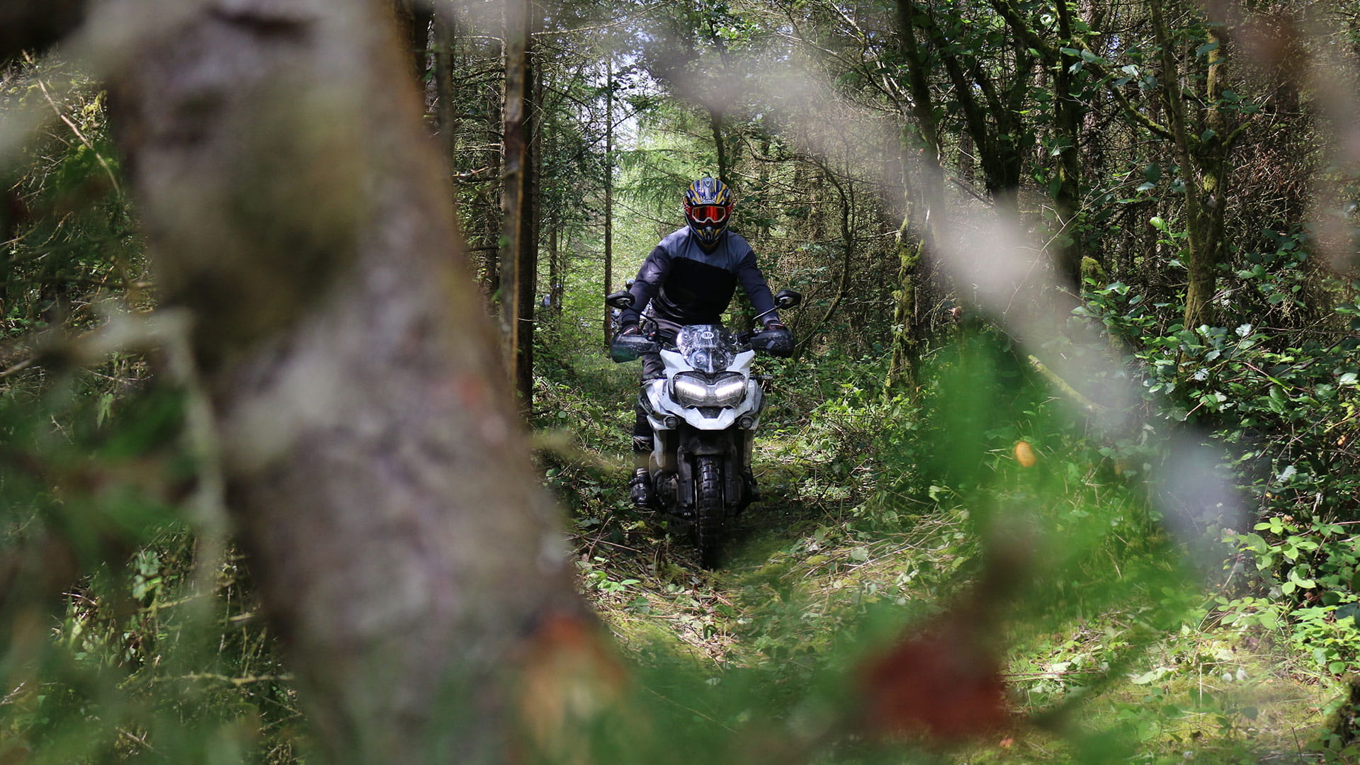 Solo rider on the Triumph Tiger 1200 passing through a rough trail