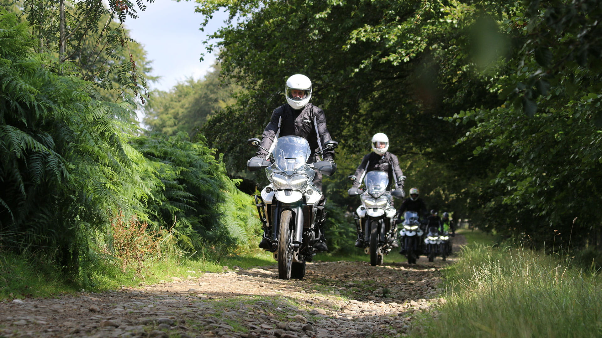 Group of Triumph Tiger 800 riders following an off-road trail 