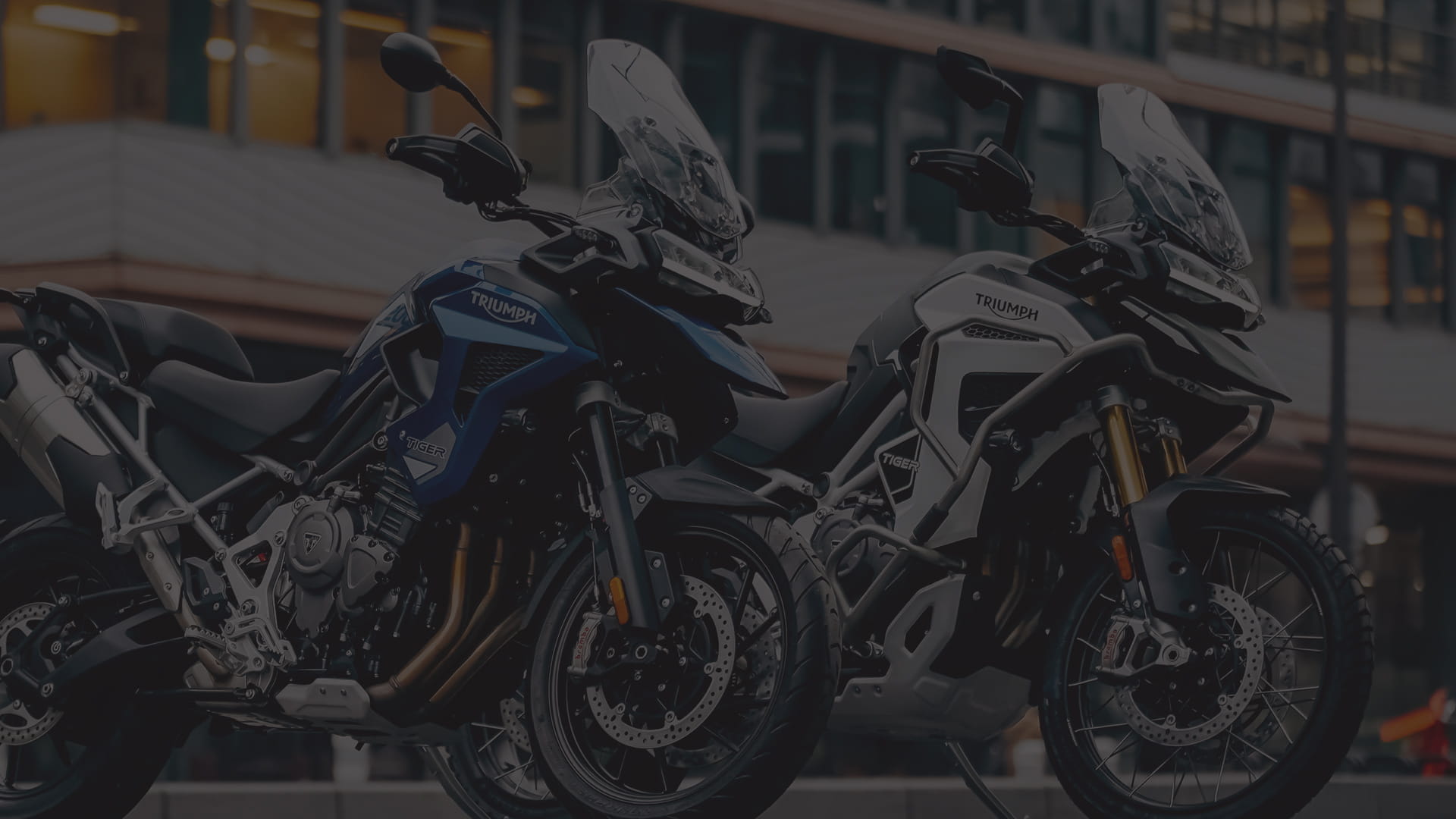 Triumph Tiger 1200: 4 adventure bikes join Triumph Tiger 1200 family, price  starting at Rs 19.19 lakh - The Economic Times