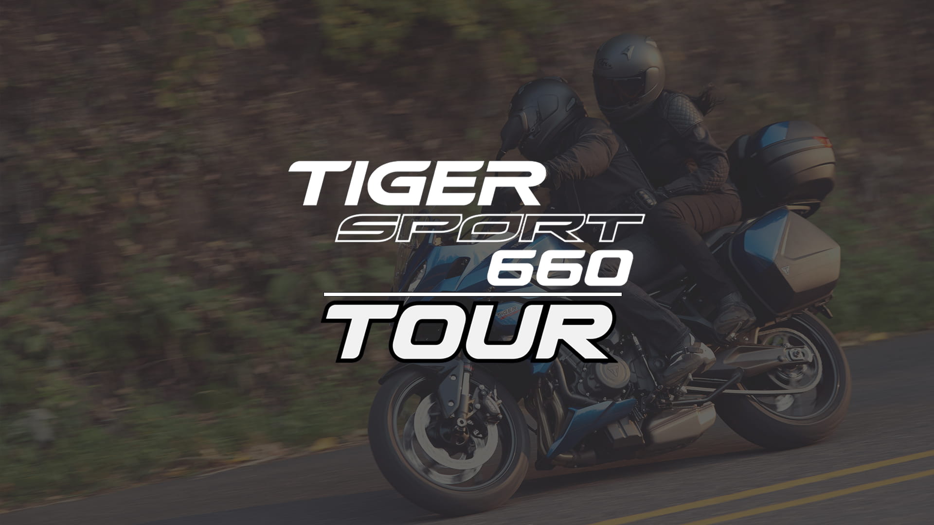 Tiger Sport 660 Tour)