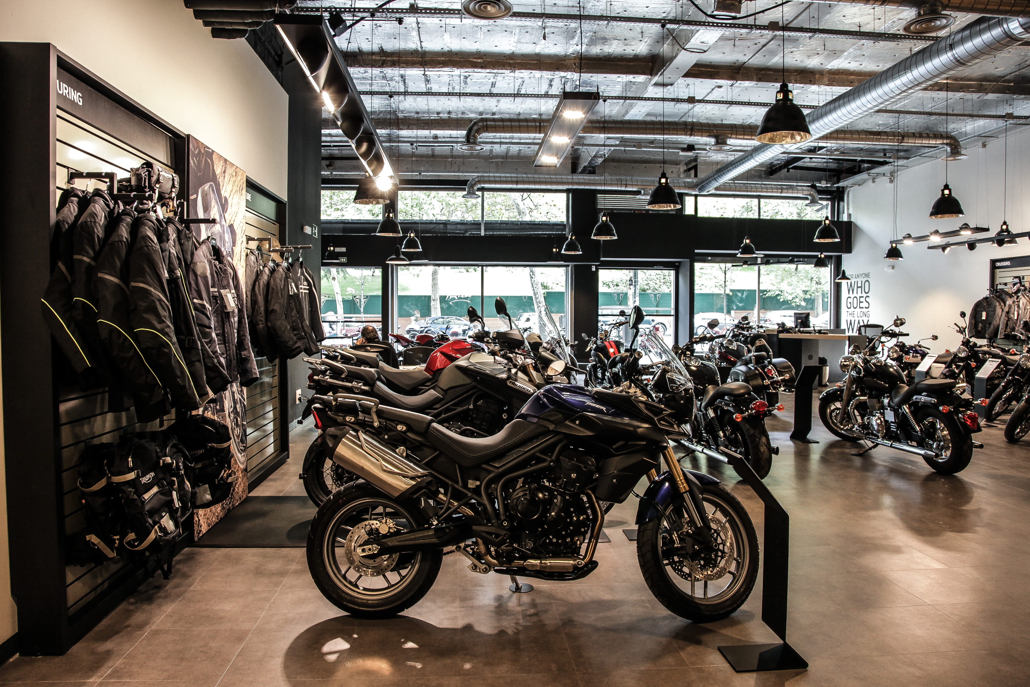 Triumph Madrid