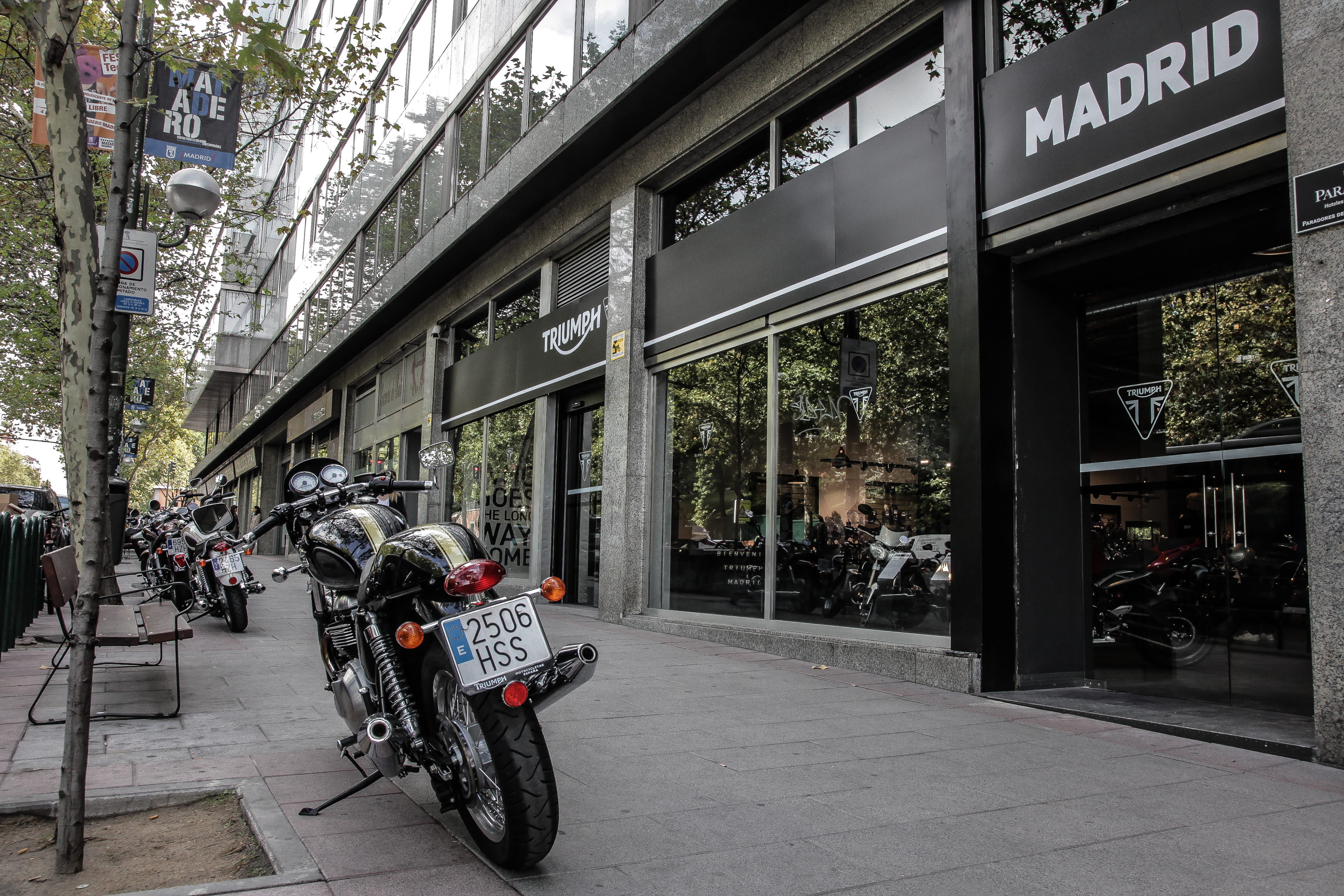 Triumph Madrid