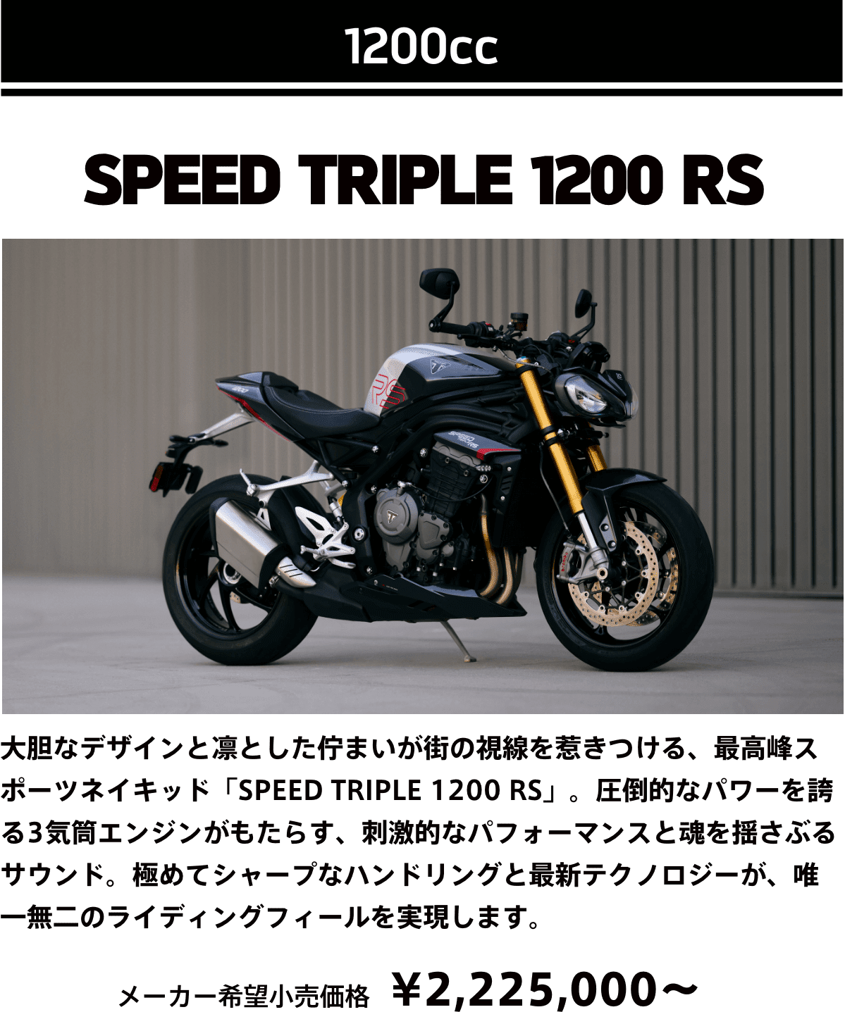 SPEED TRIPLE 1200 RS