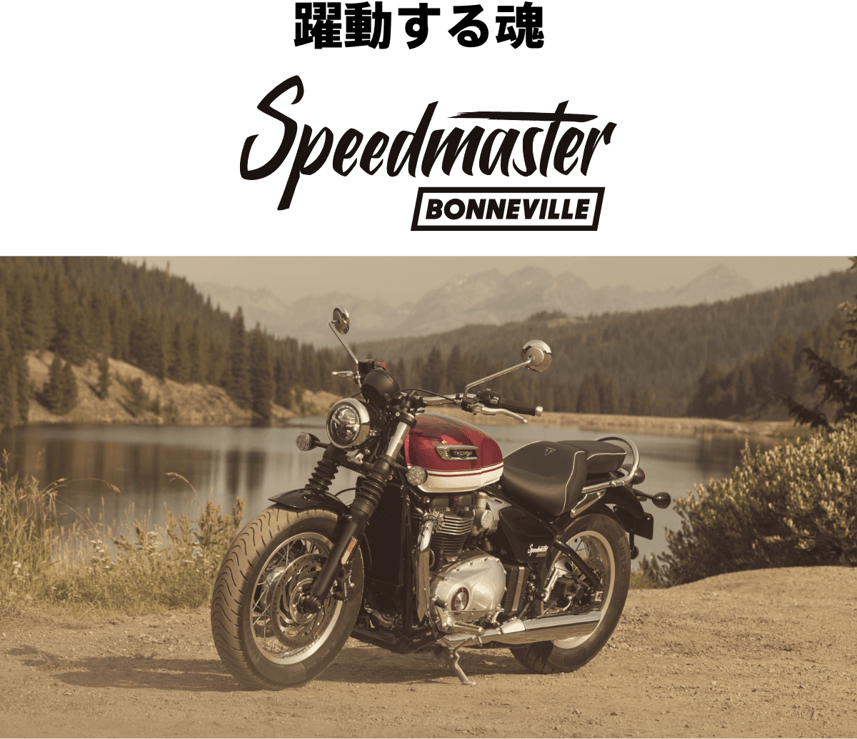 speedmaster