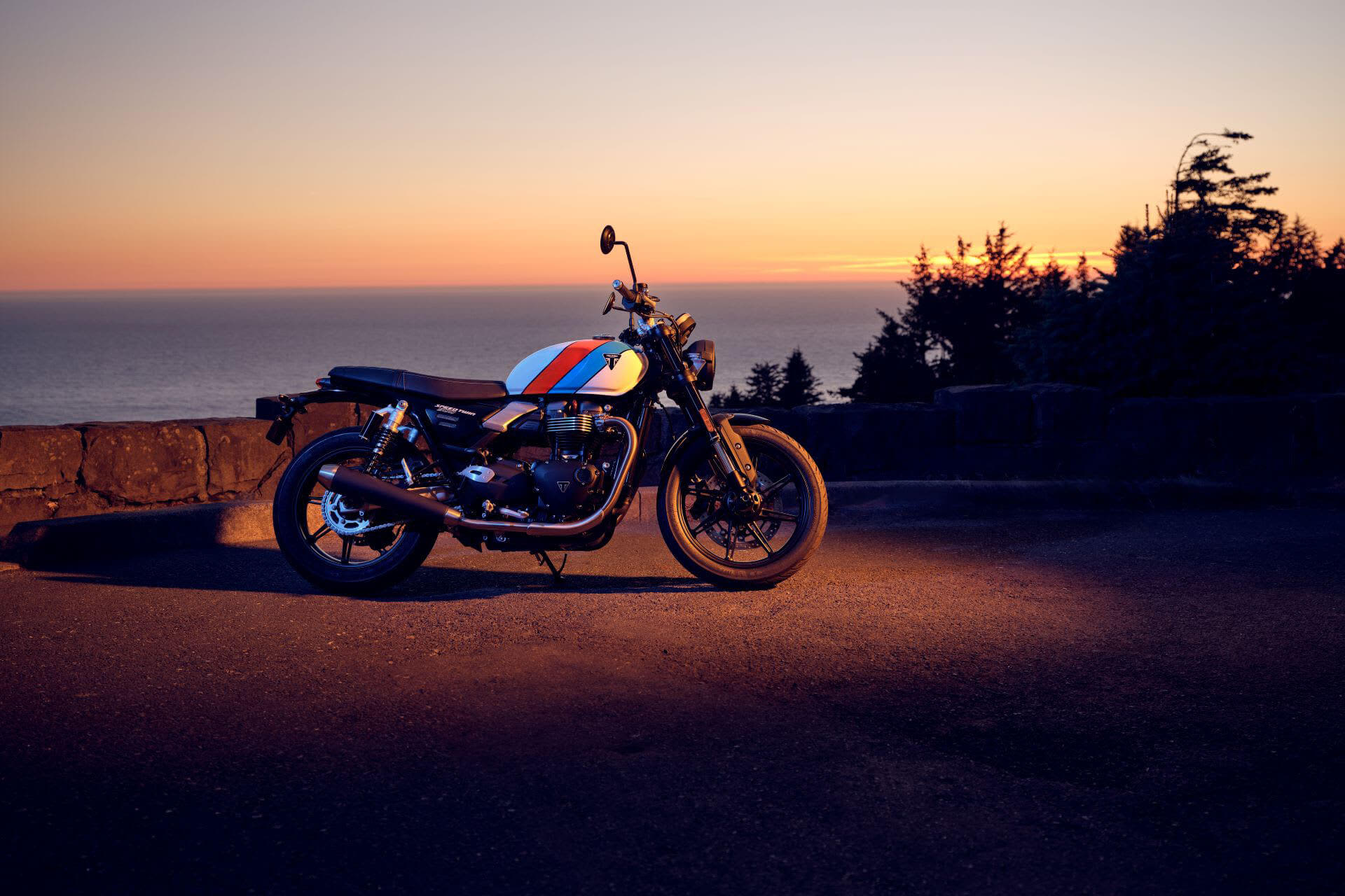 SPEED TWIN 900
