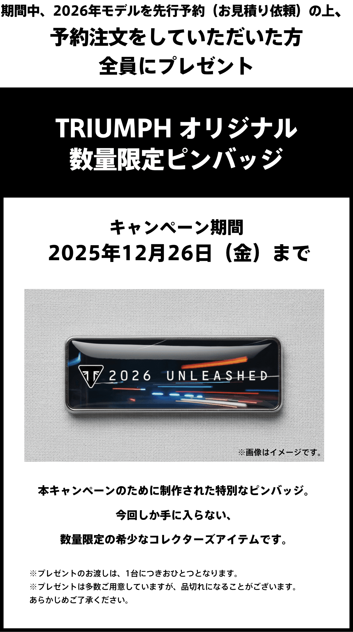 TRIUMPH オリジナル 数量限定ピンバッジ