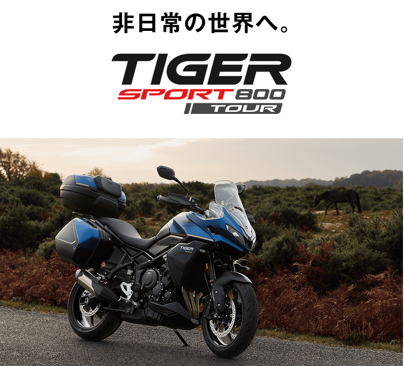 Tiger Sport 800 Tour