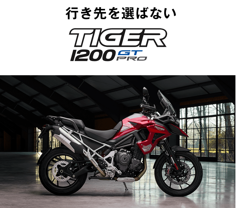 Tiger1200GT