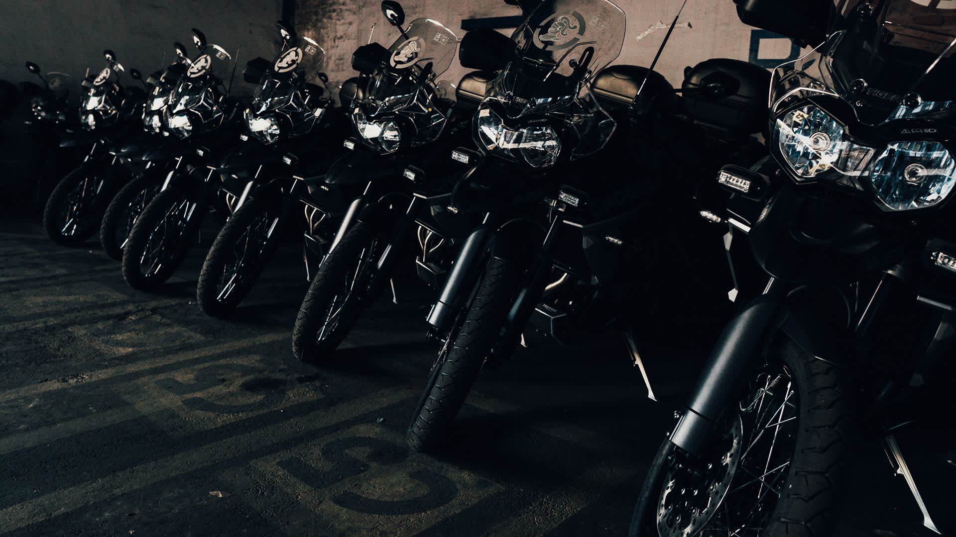 Triumph Tigers Accessory Fitted