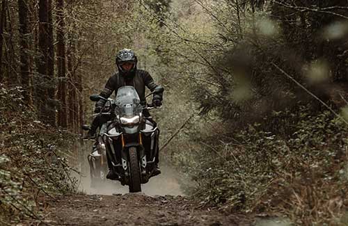 Triumph adventure experience tiger