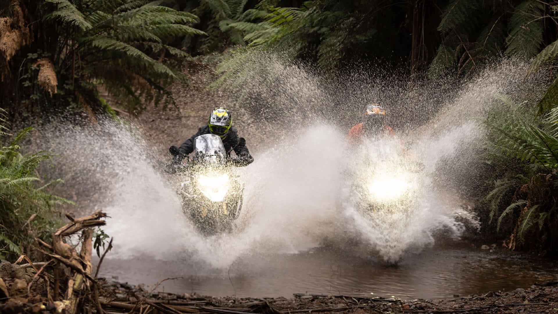 Triumph Tiger 1200 Rally pro