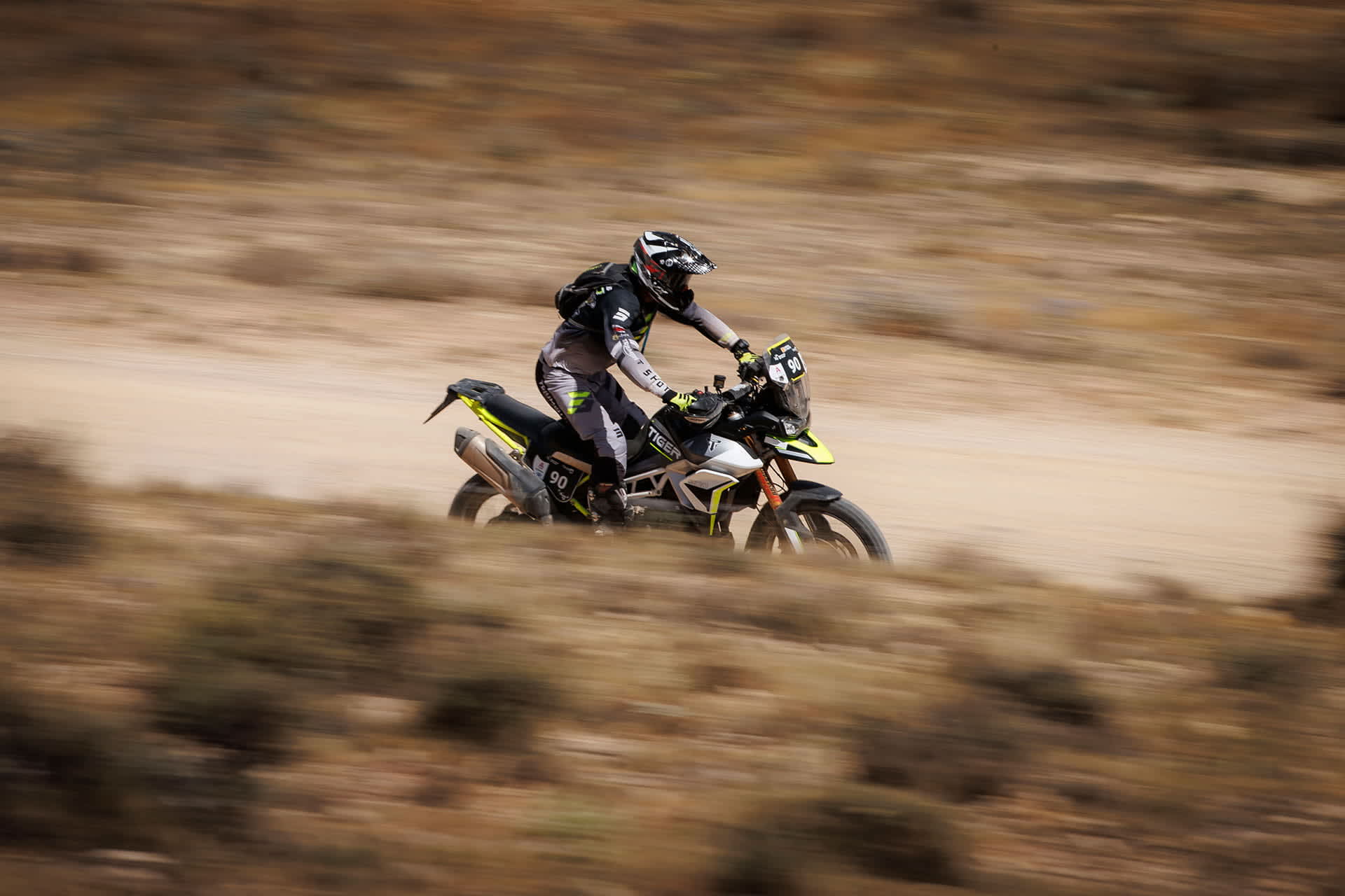 Tiger 900 Rally Pro in the Baja Aragon