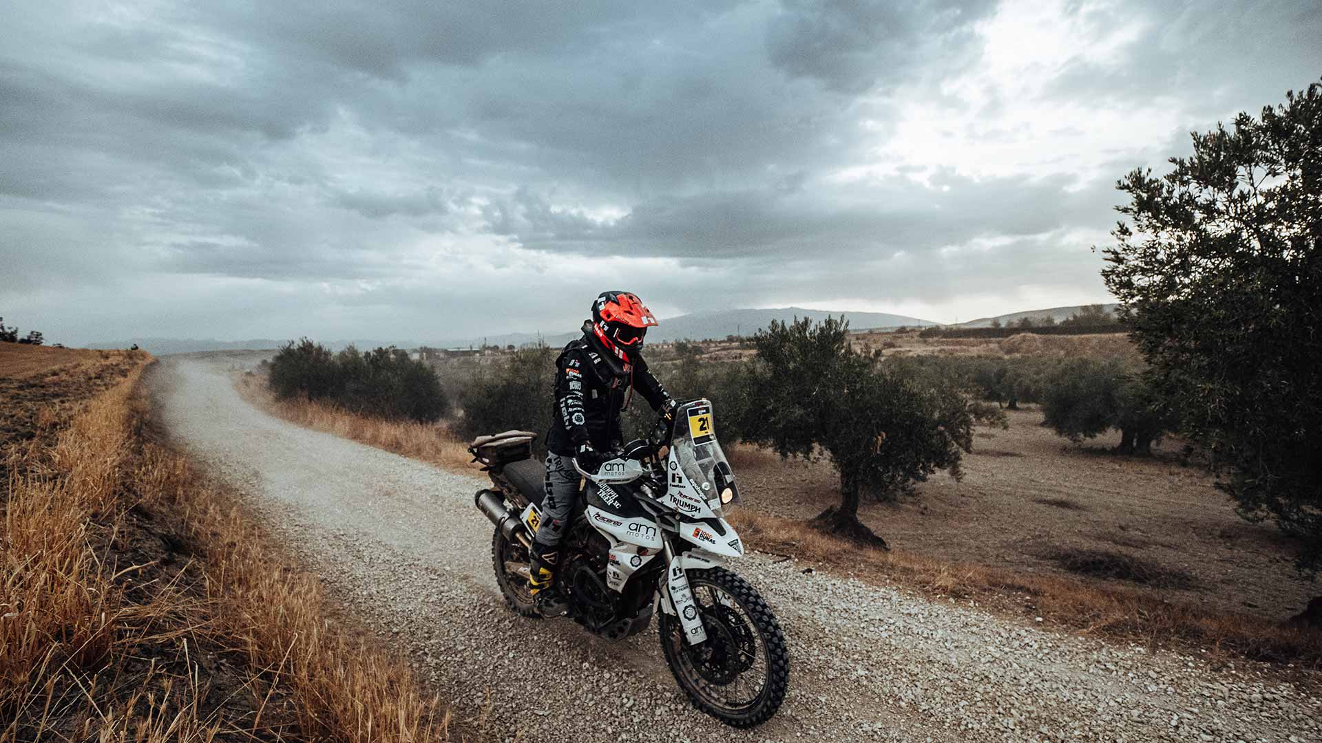 Ivan Cervantes Riding a Triumph Tiger 900 Rally Pro the 100 Dunas Raid in Morocco