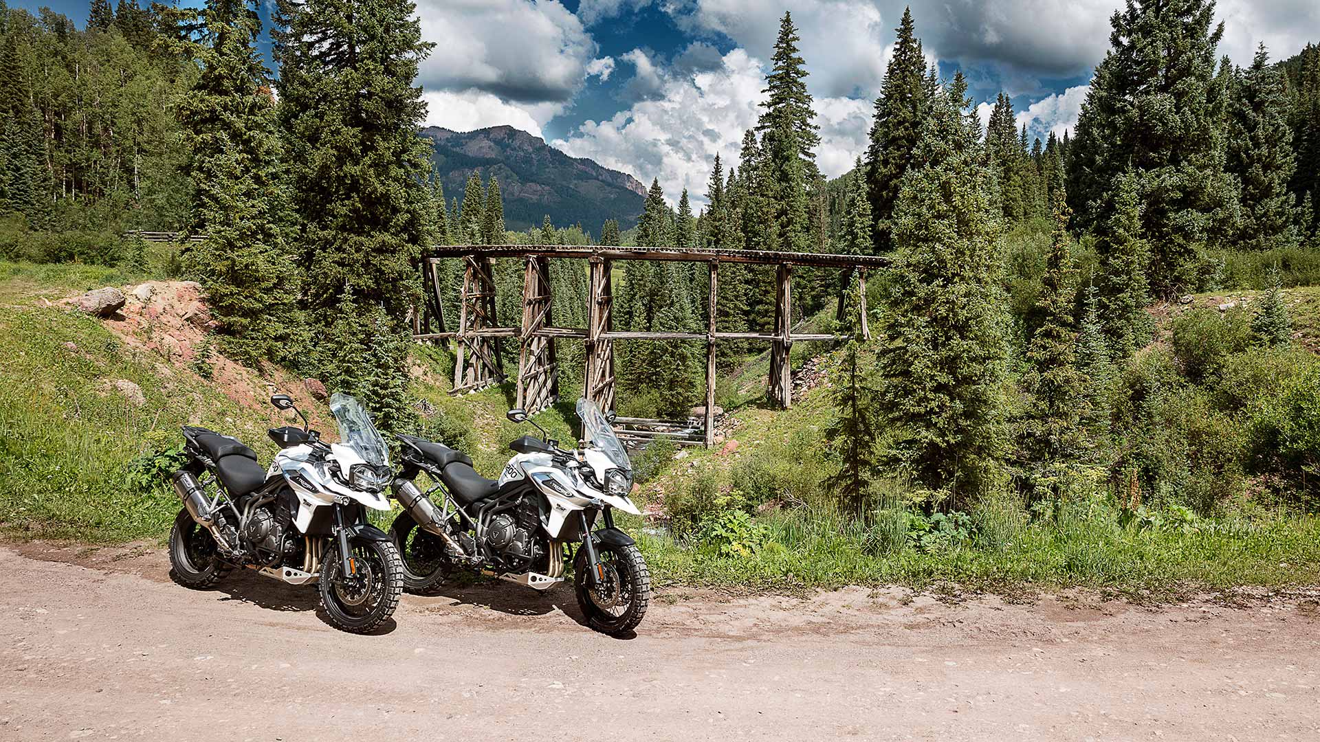 A static shot of the Tiger 1200 XCA with a scenic landscape