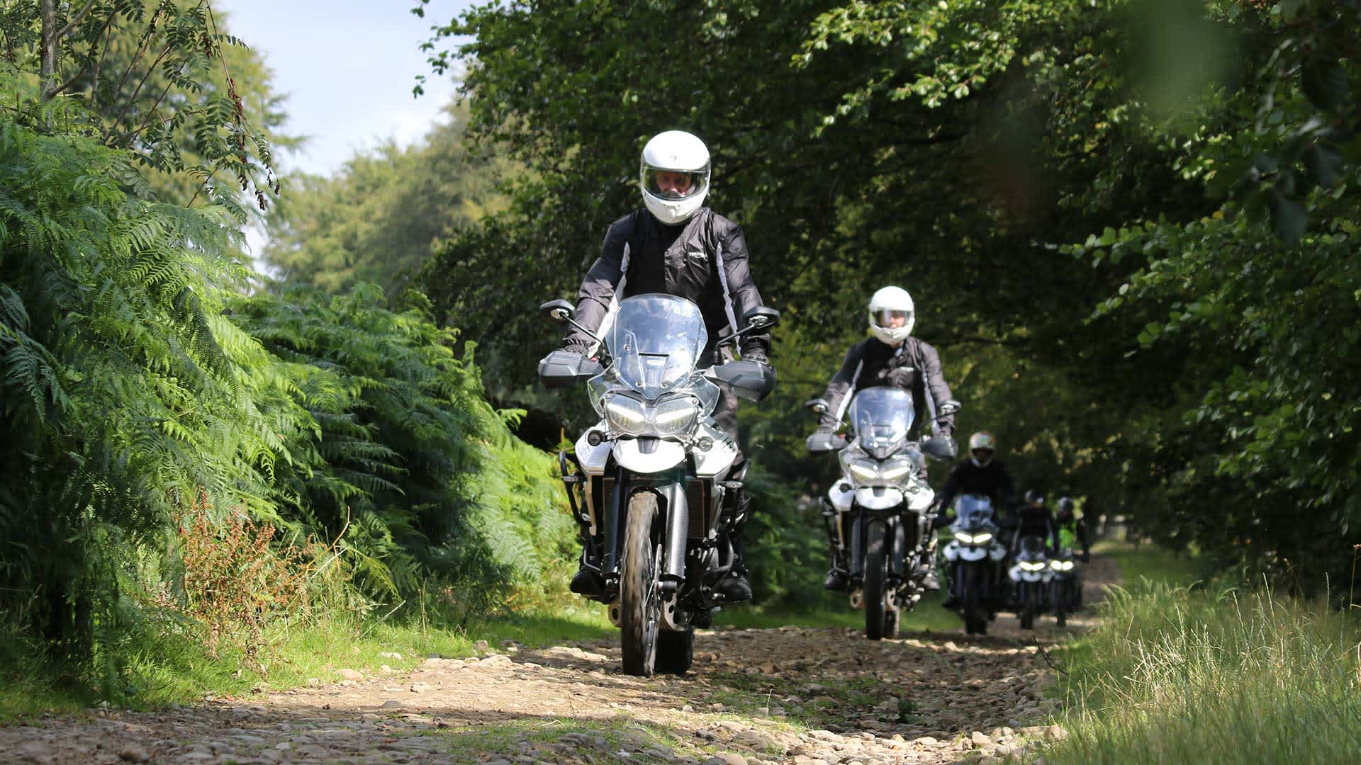 Triumph Adventure Experience Tiger day in South Wales, UK