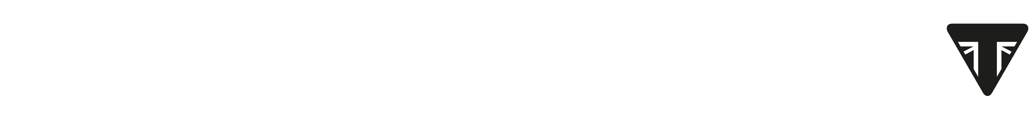 Triumph Moto 2 Logo