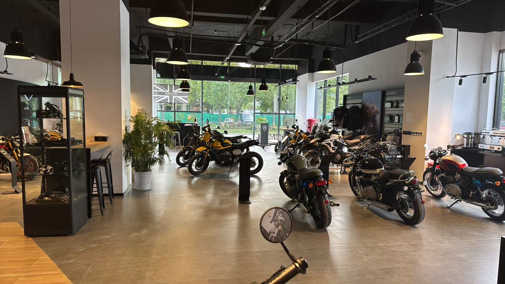 Triumph Shanghai Yingqili