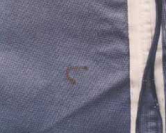 clothing-warranty