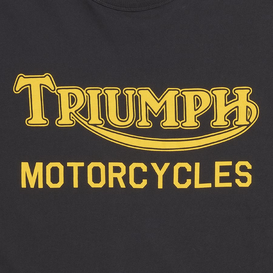 Ignition Coil Stripe Long Sleeve Tee in Gold