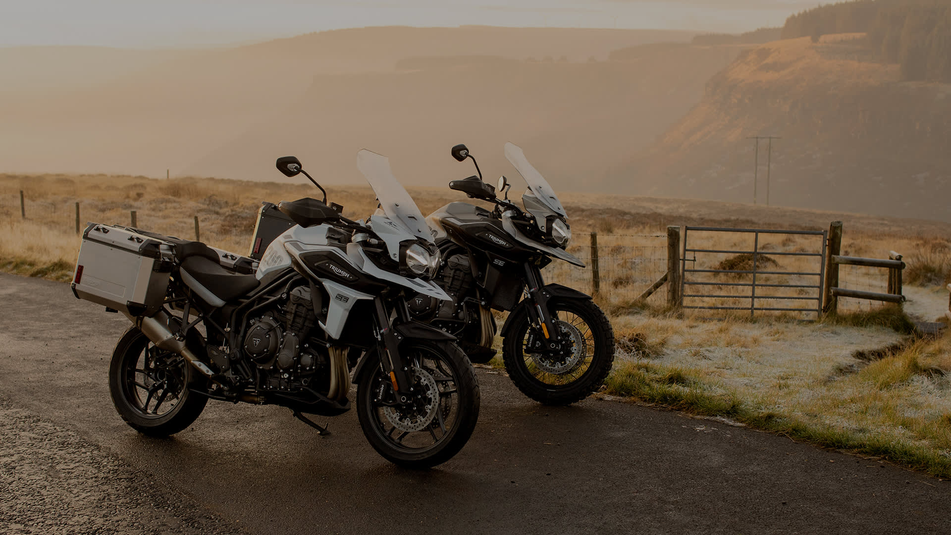 Triumph Tiger 1200 Sondermodelle mit Kofferset