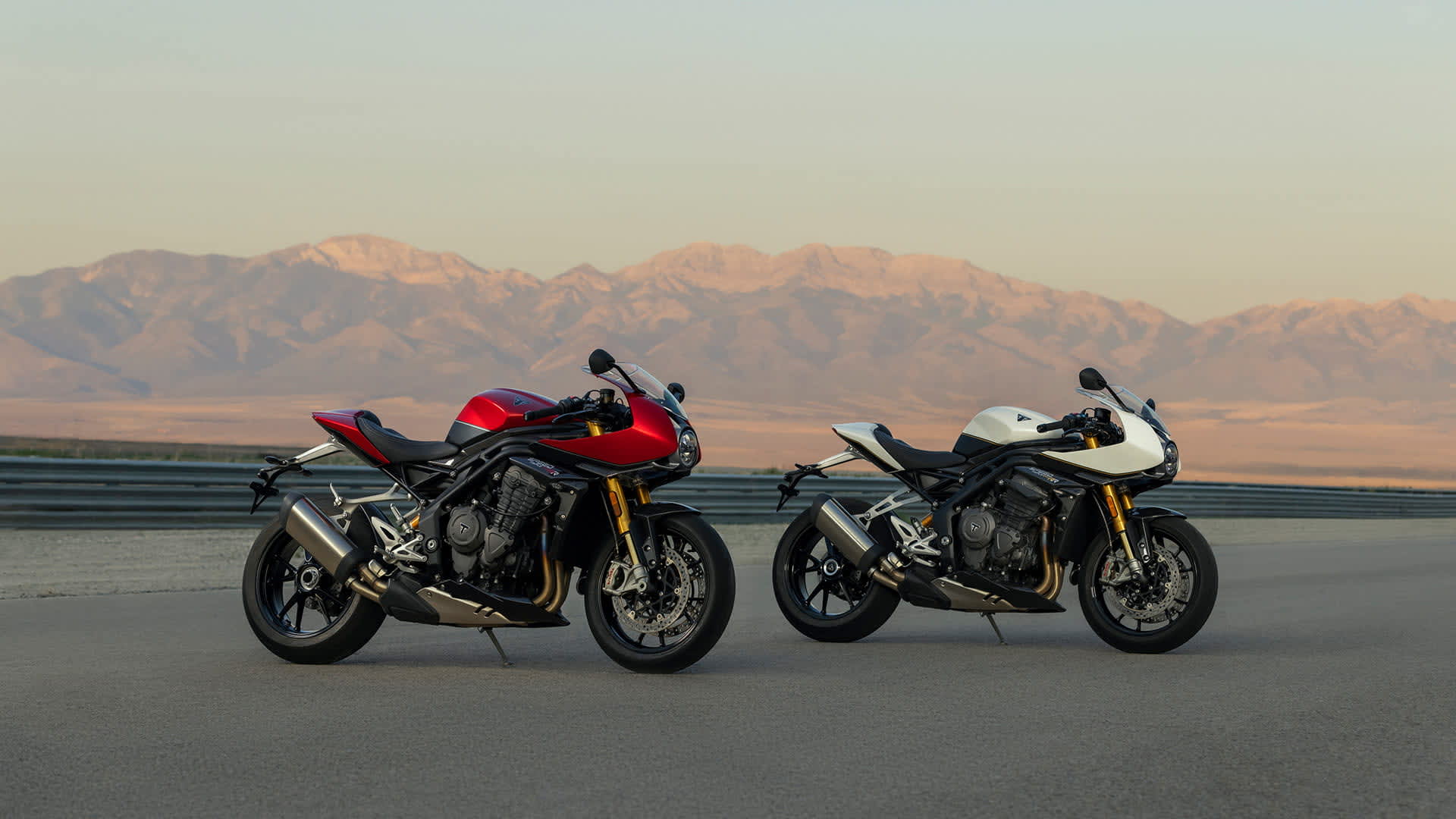 Tiger 1200 Rally