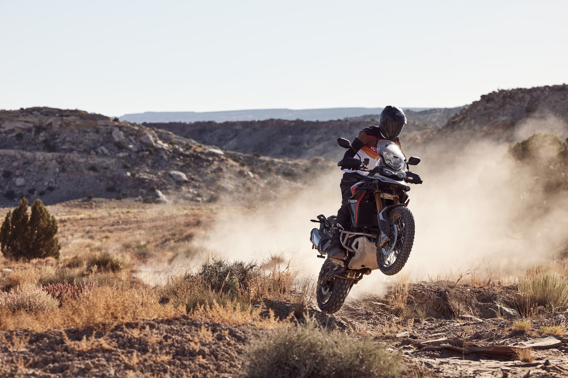 22_Tiger900_RallyPro_MY24_14443_JP