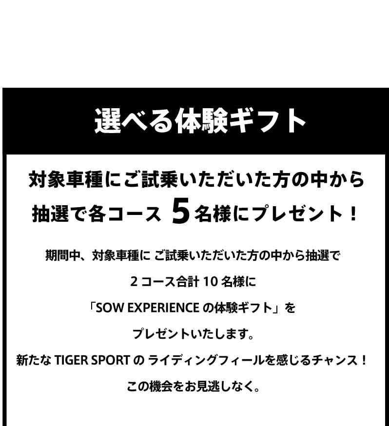 tiger-sport-800-600-fair-2025-06