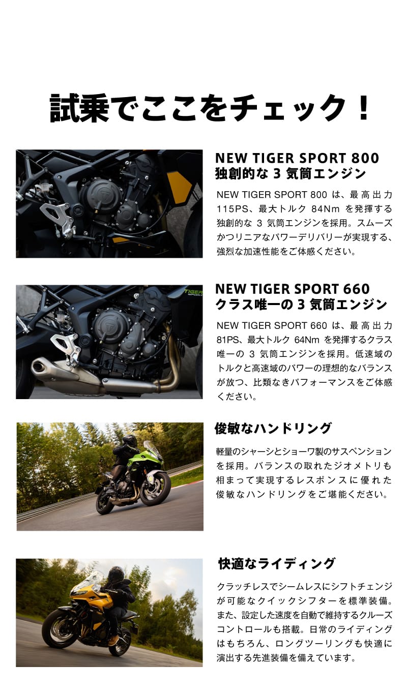 tiger-sport-800-600-fair-2025-08