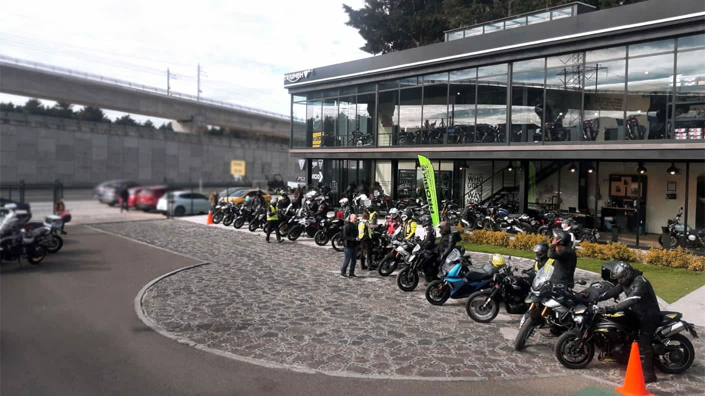 Triumph Lerna